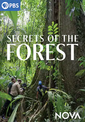 Front. NOVA: Secrets of the Forest - DVD.