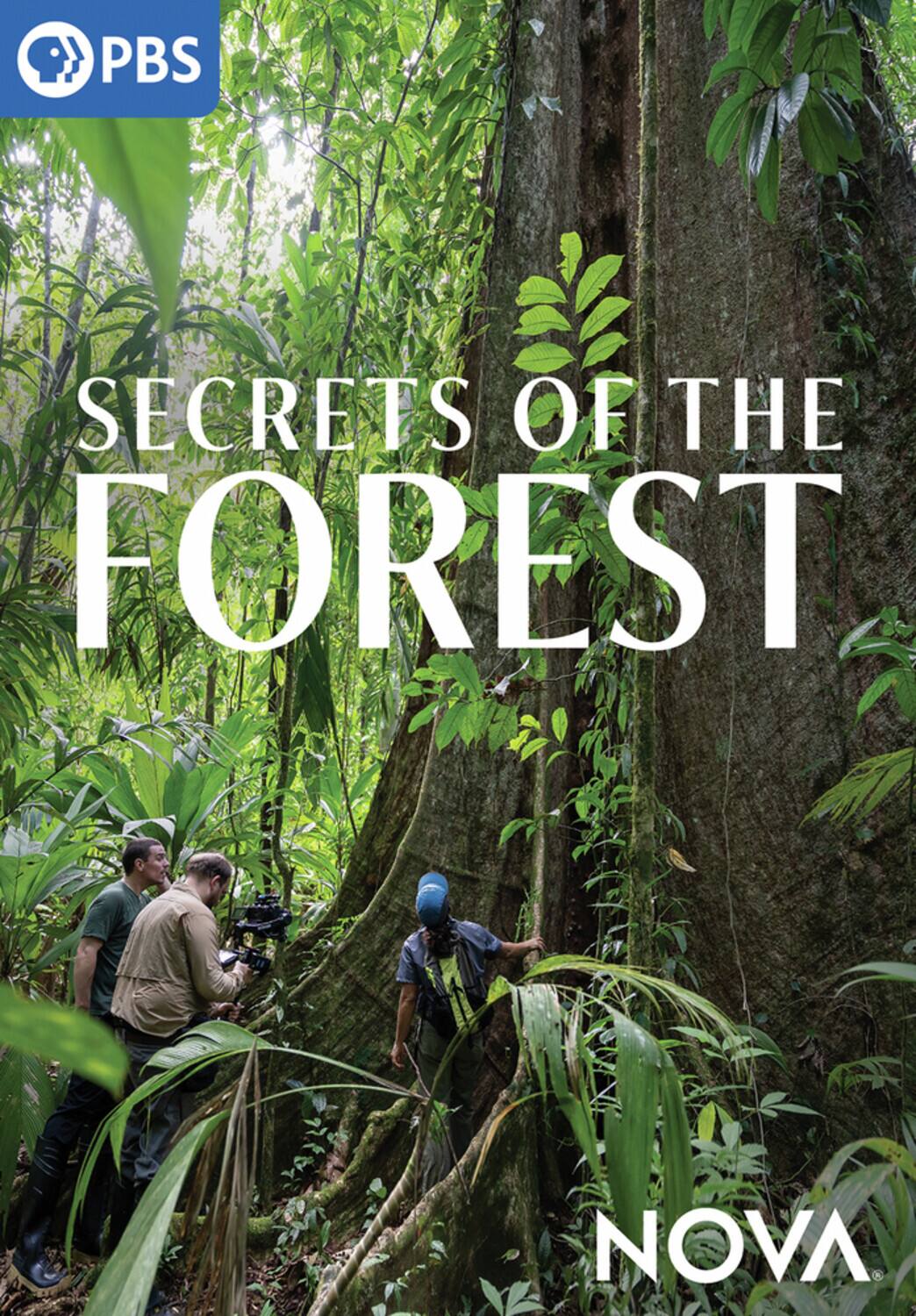Front. NOVA: Secrets of the Forest   - DVD.