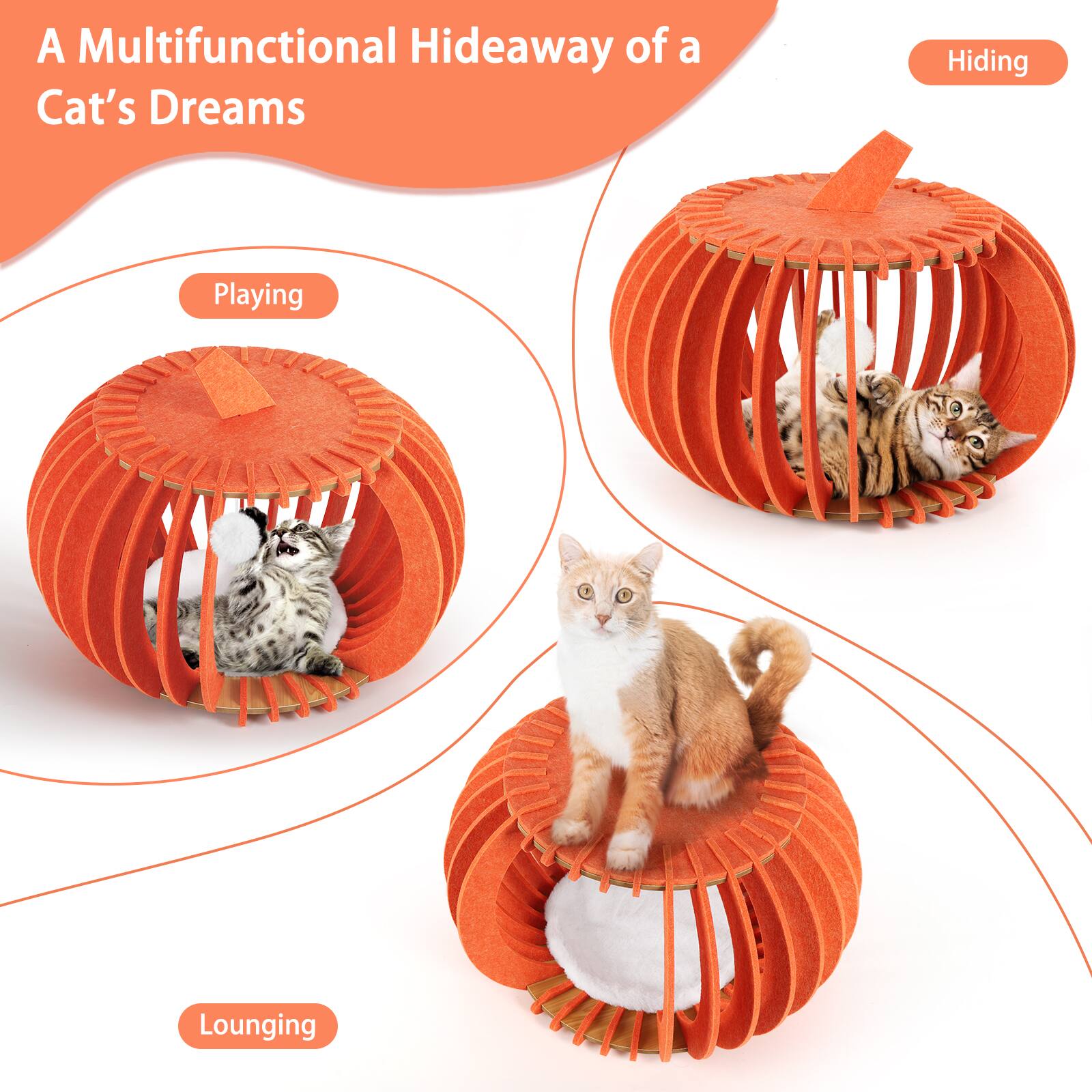 A Multifunctional Hideaway of a Cat's Dreams

- Playing
- Hiding
- Lounging