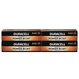 Duracell - MN24P36CT Power Boost CopperTop Alkaline AAA Batteries (144/Carton)