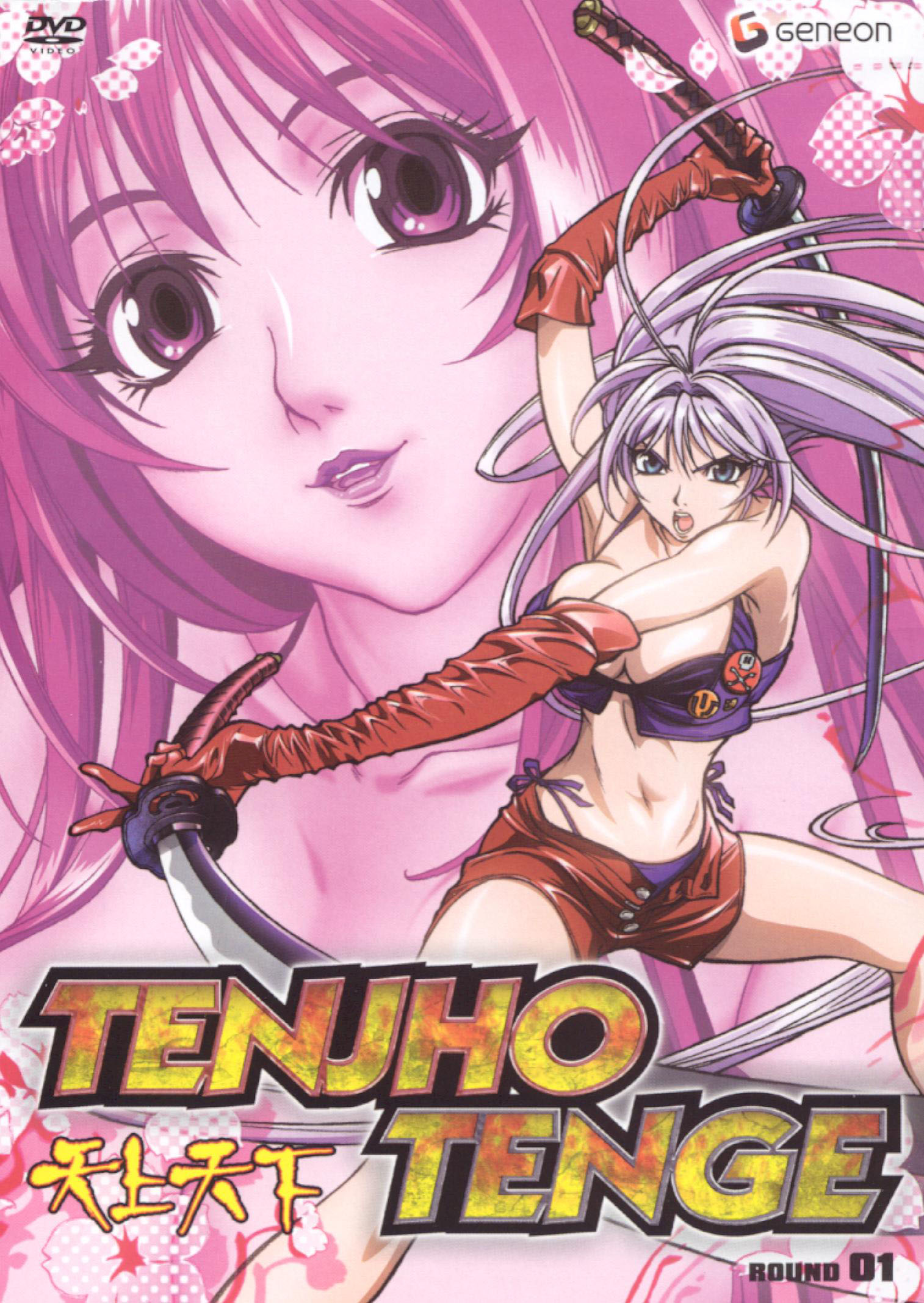Tenjho Tenge DVD Complete Collection (Hyb)