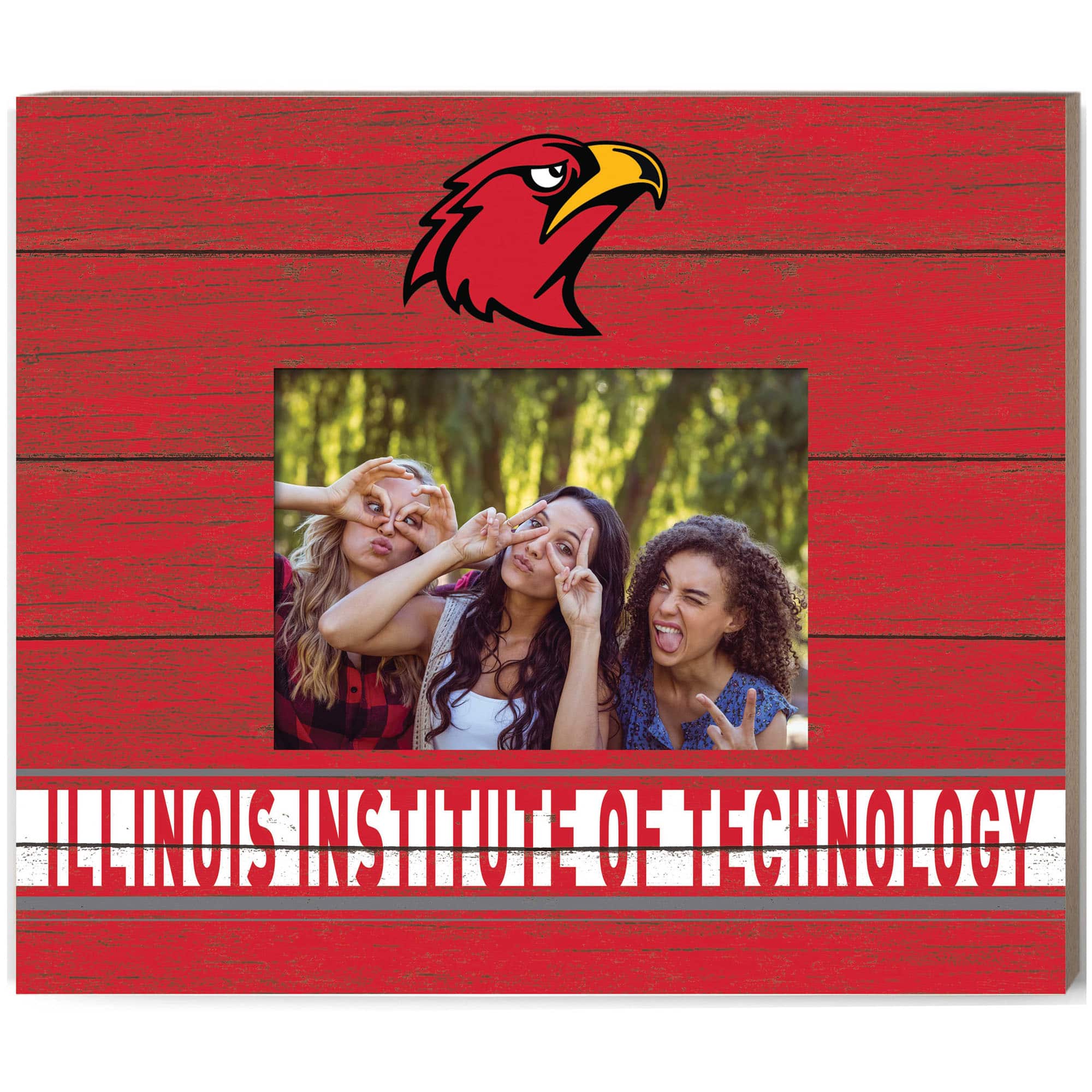 Jardine - Illinois Tech Scarlet Hawks 11'' x 13'' Team Spirit Scholastic Picture Frame - Red price history on PriceWatchPro