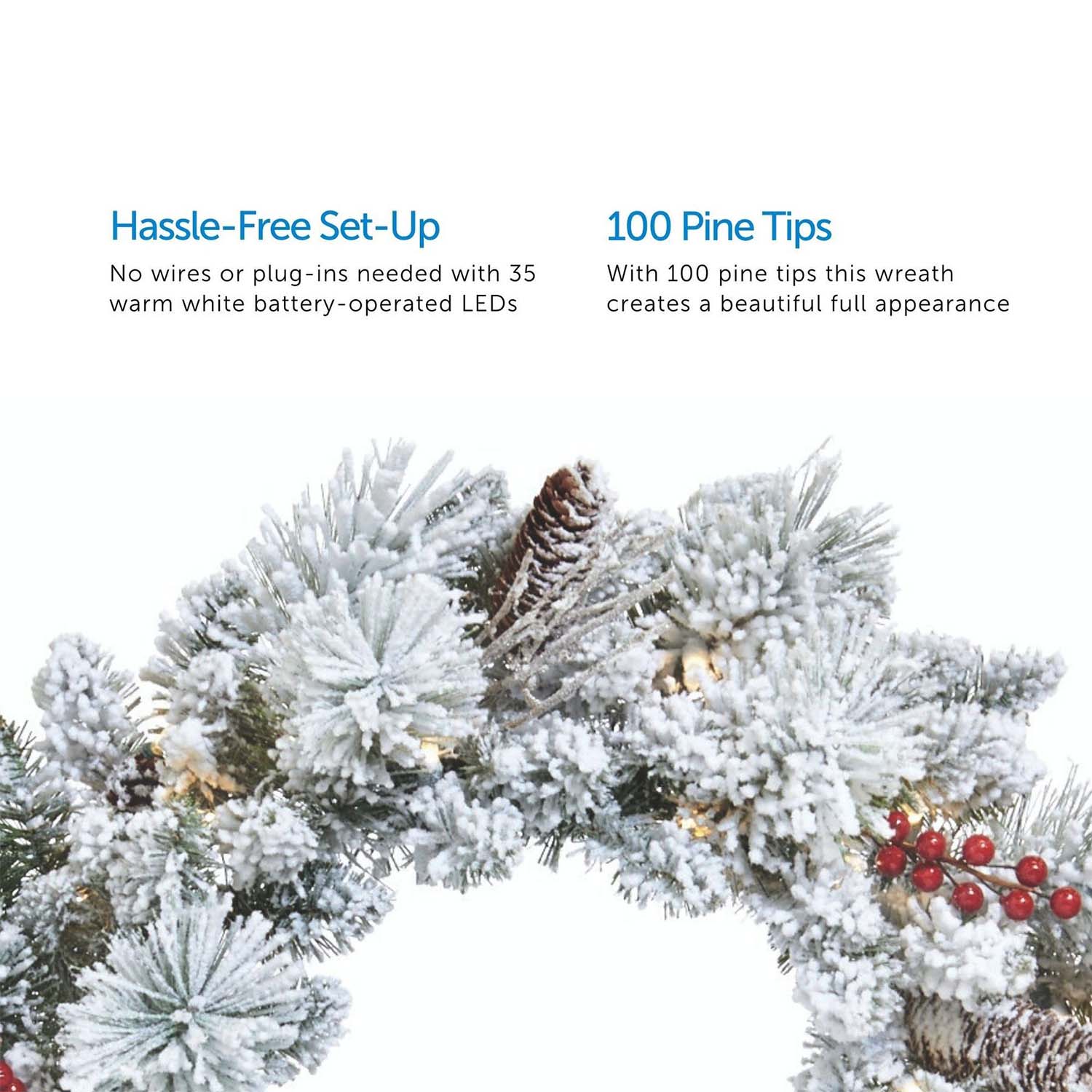 Hassle-Free Set-Up  
No wires or plug-ins needed with 35 warm white battery-operated LEDs  

100 Pine Tips  
With 100 pine tips this wreath creates a beautiful full appearance