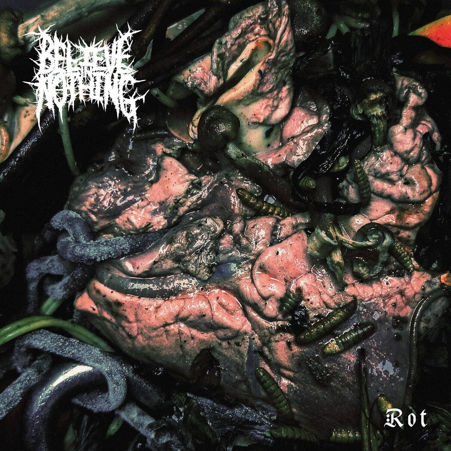 Believe in Nothing - Rot   - VINYL LP price history on PriceWatchPro