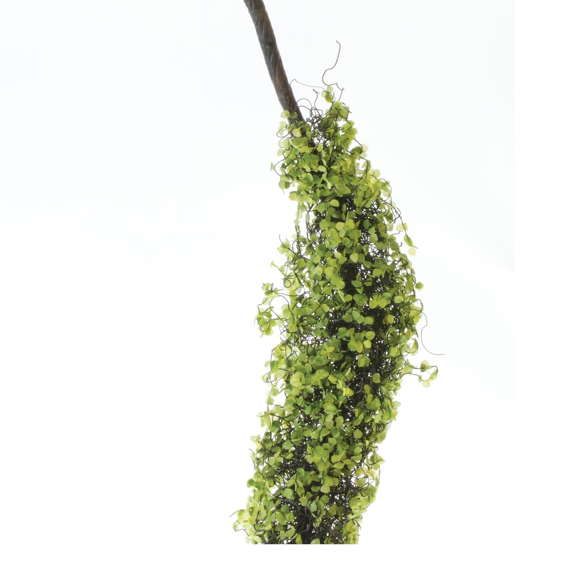 Back. BreeBe - Moss Foliage Vine Branch (Set of 2) - Green, Brown.