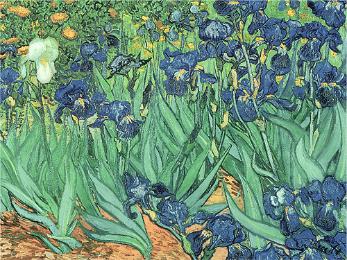 Best Buy: Trademark Art Irises by Vincent van Gogh Green/Purple BL0317 ...