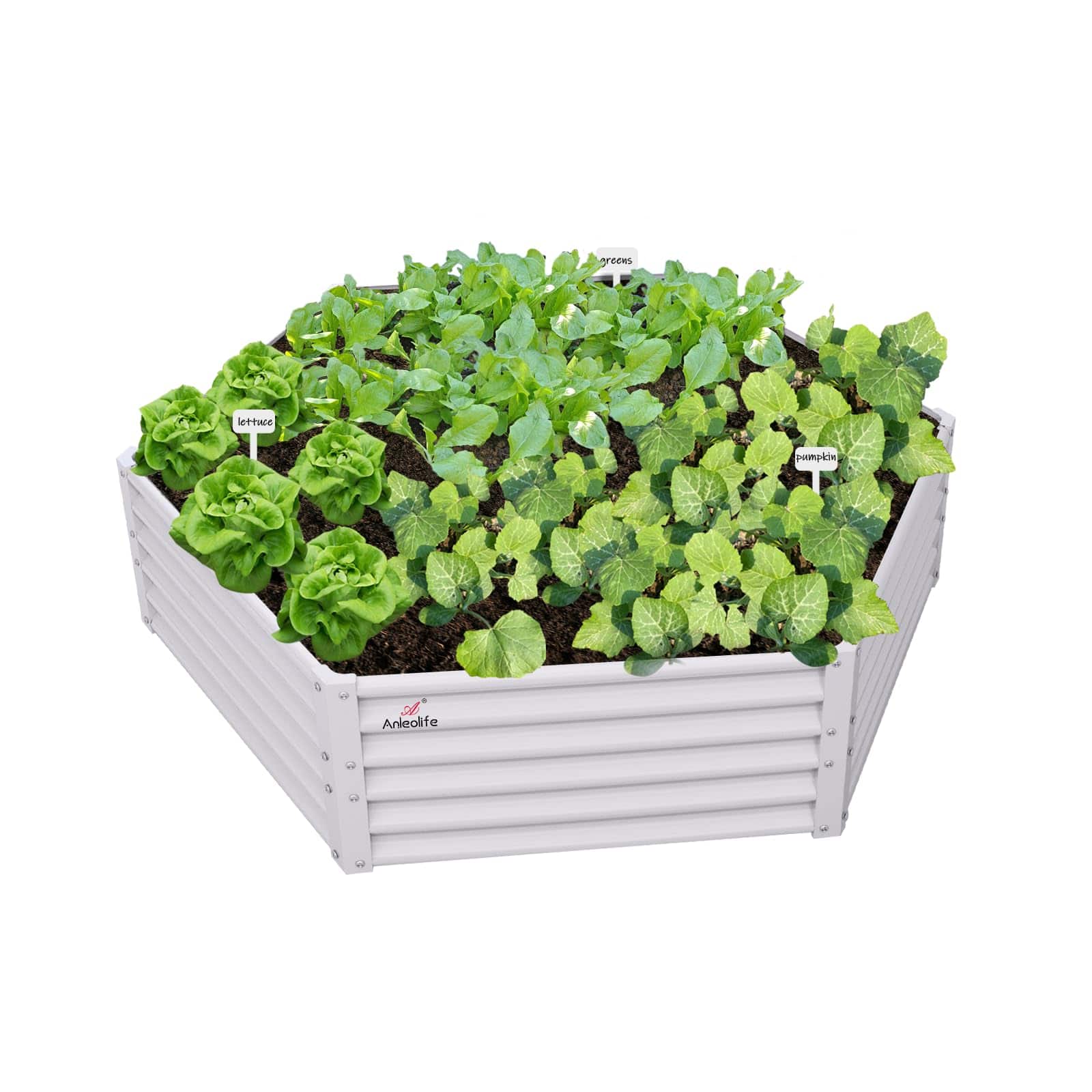 A Anleolife - Metal Hexagon Raised Garden Bed Planter Box for Planting Vegetables Flowers (70 in. L x 60 in. W x 18 in. H) - White price history on PriceWatchPro