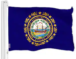 G128 - New Hampshire State Flag 3x5 ft 150D Polyester Dye-Sublimated Brass Grommets - Assorted Colors