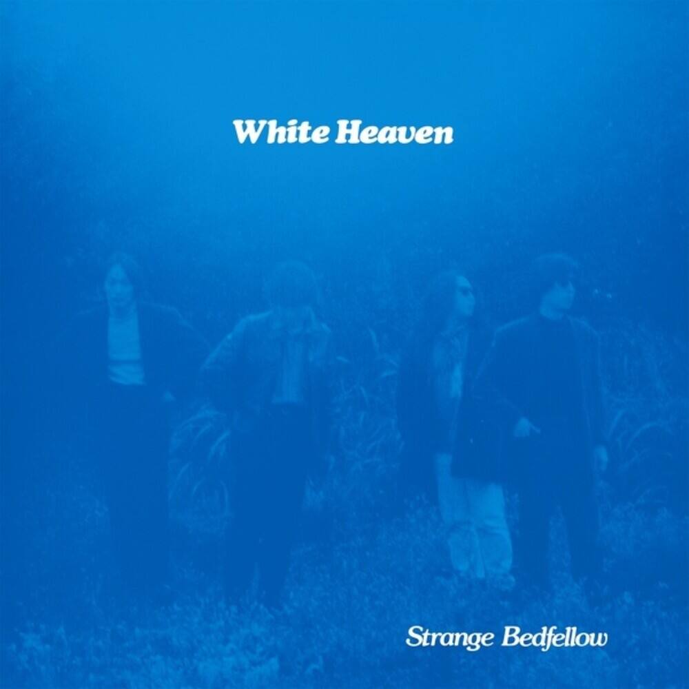 Strange Bedfellow [LP] [VINYL] price history on PriceWatchPro