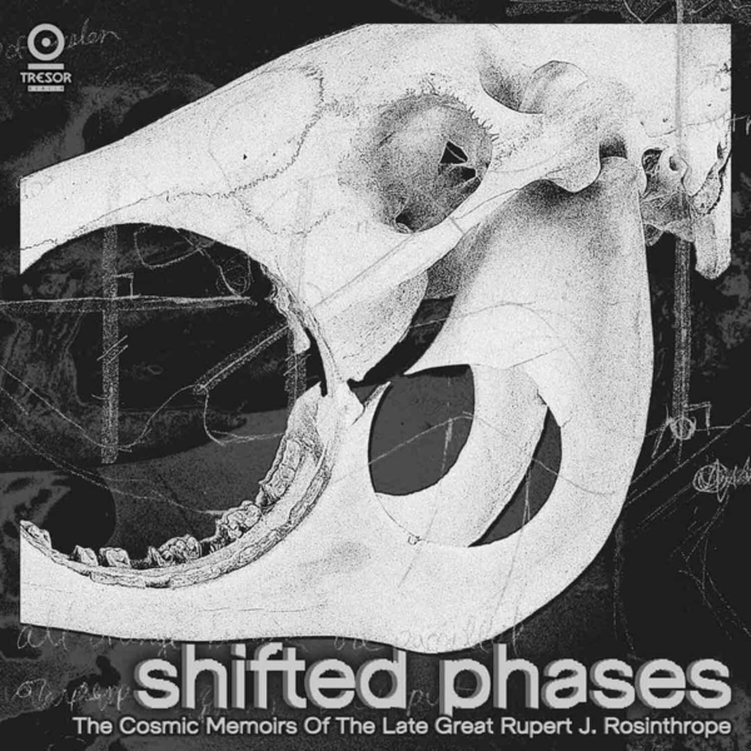 Shifted Phases - The Cosmic Memoirs Of The Late Great Rupert J. Rosinthrope   - COMPACT DISCS [CD] price history on PriceWatchPro