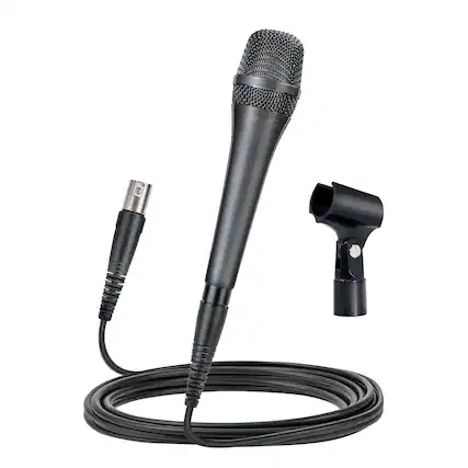 Front. Cedar Assembly - Ac 910 Xlr Wired Vocal Microphone Dynamic Cardioid Mic With Dual engine Ahnc Noise Cancelling Tech For Singing - Gray AC-910.