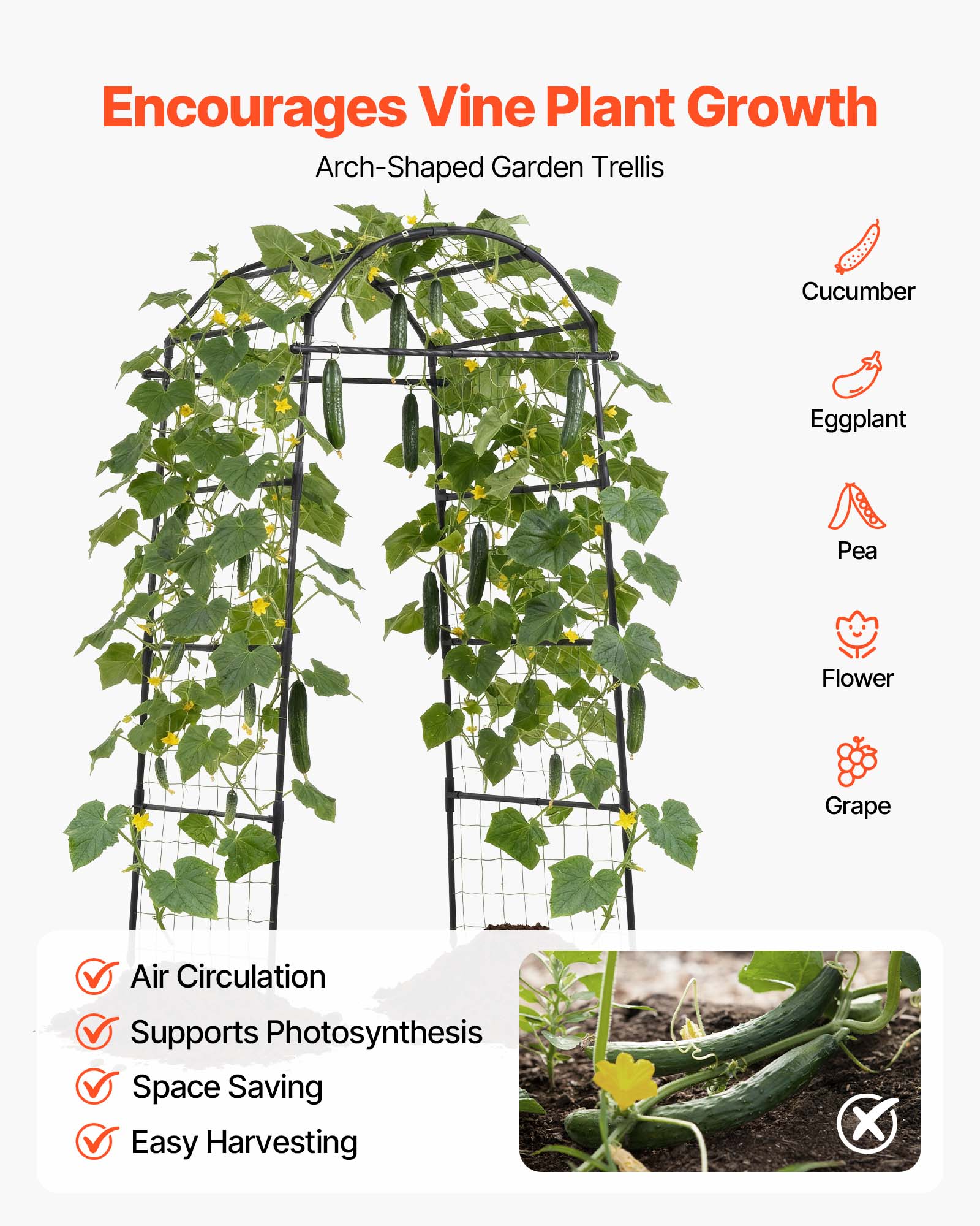 Encourages Vine Plant Growth  
Arch-Shaped Garden Trellis  

Cucumber  
Eggplant  
Pea  
Flower  
Grape  

Air Circulation  
Supports Photosynthesis  
Space Saving  
Easy Harvesting