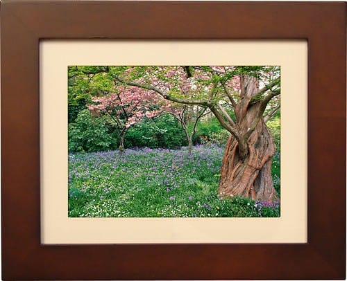 Front Standard. Pandigital - Panimage 8" LED Digital Photo Frame.