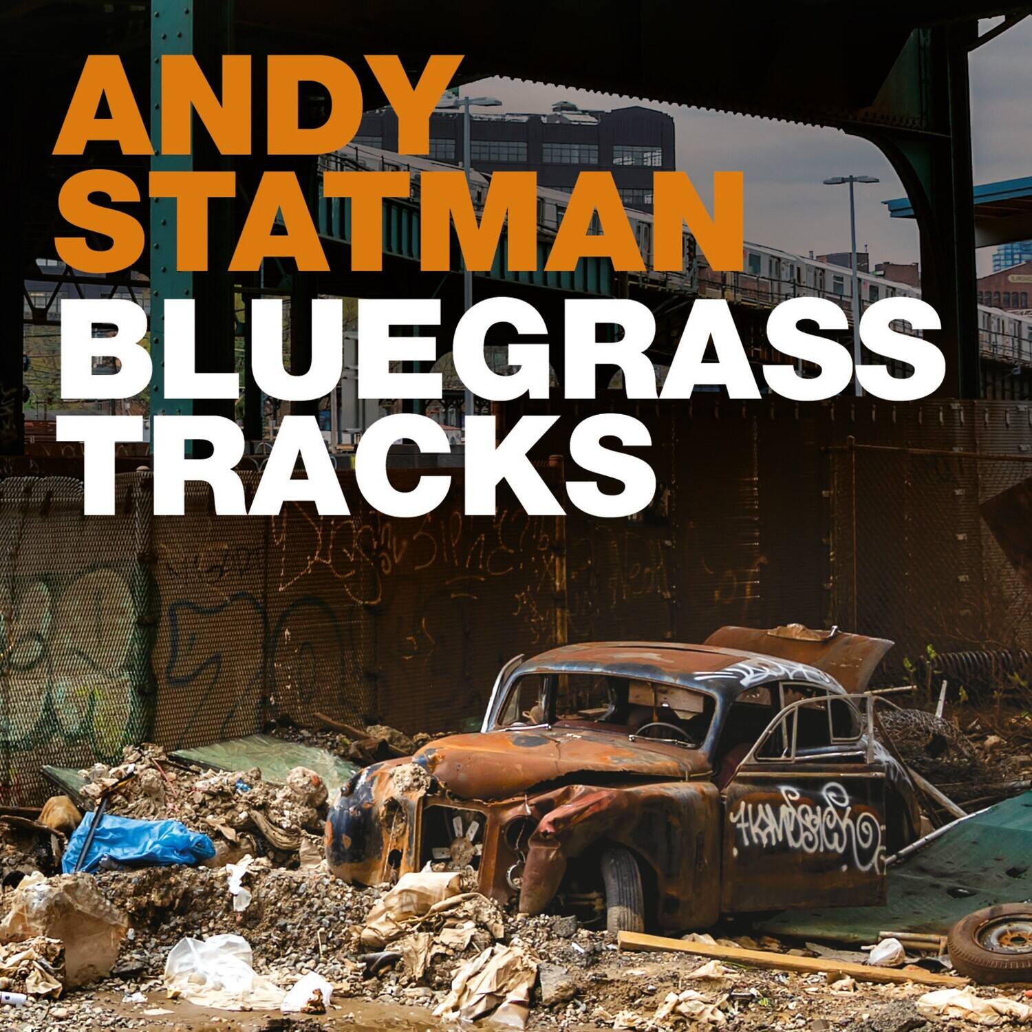 ANDY STATMAN  
BLUEGRASS TRACKS