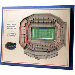 YouTheFan - Florida Gators 17'' x 13'' 5-Layer StadiumViews 3D Wall Art - Brown