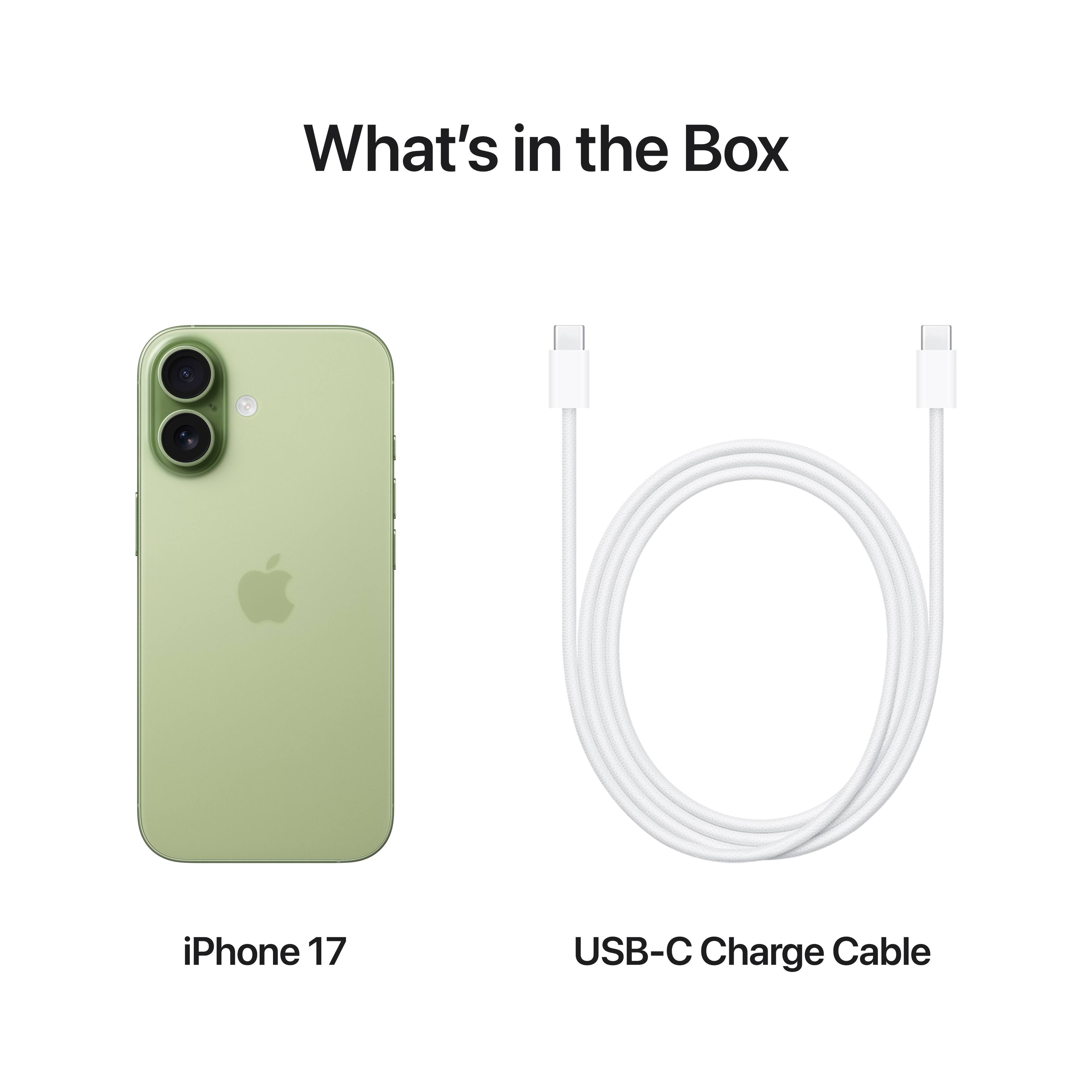 What's in the Box

iPhone 17

USB-C Charge Cable