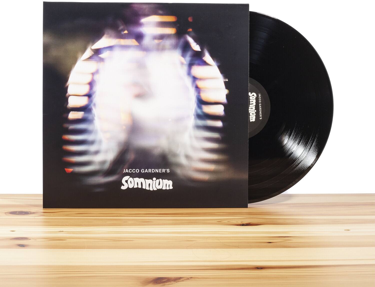 JACCO GARDNER'S  
Somnium