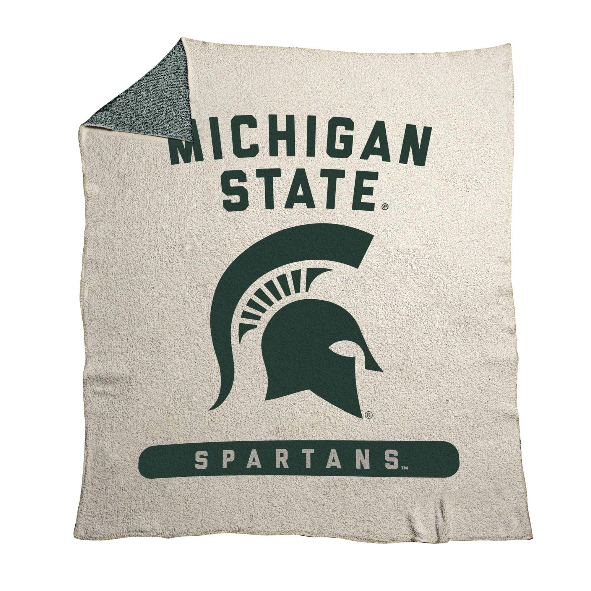 MICHIGAN STATE  
SPARTANS