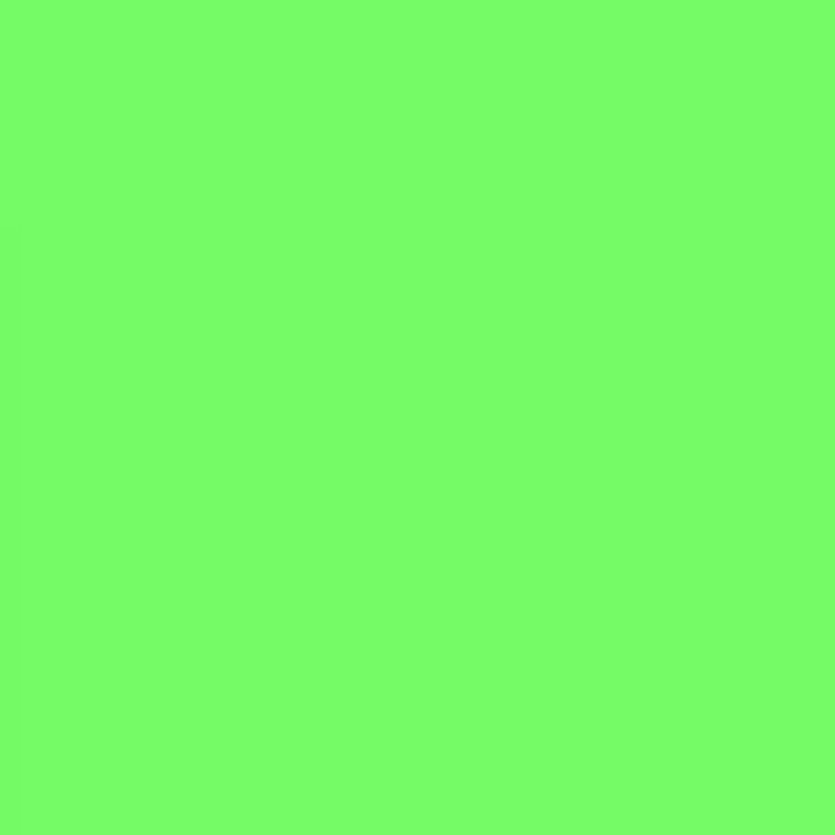 Lee Filters - Fern Green 24x21" Gel Filter Sheet