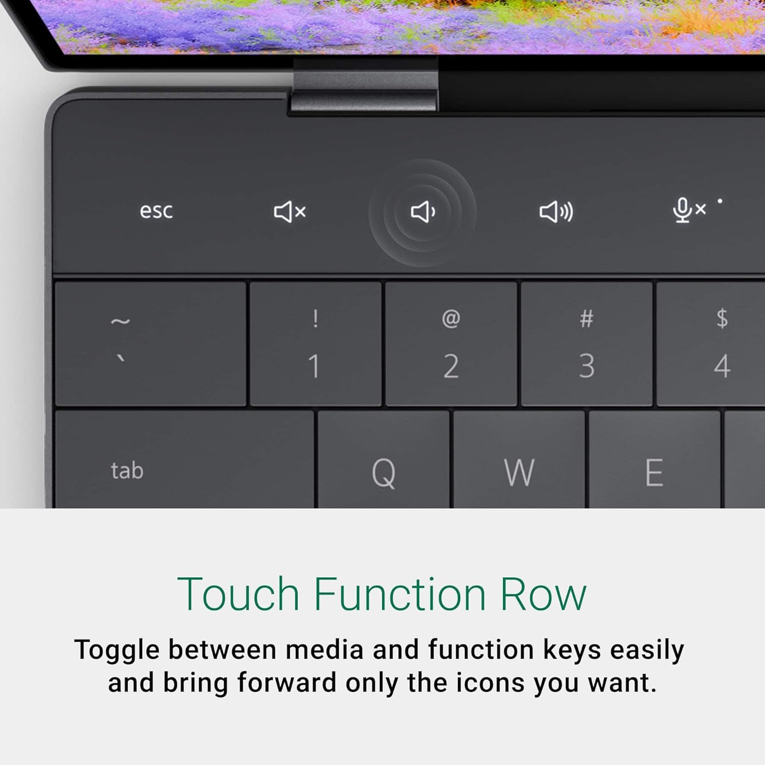 Touch Function Row

Toggle between media and function keys easily and bring forward only the icons you want.