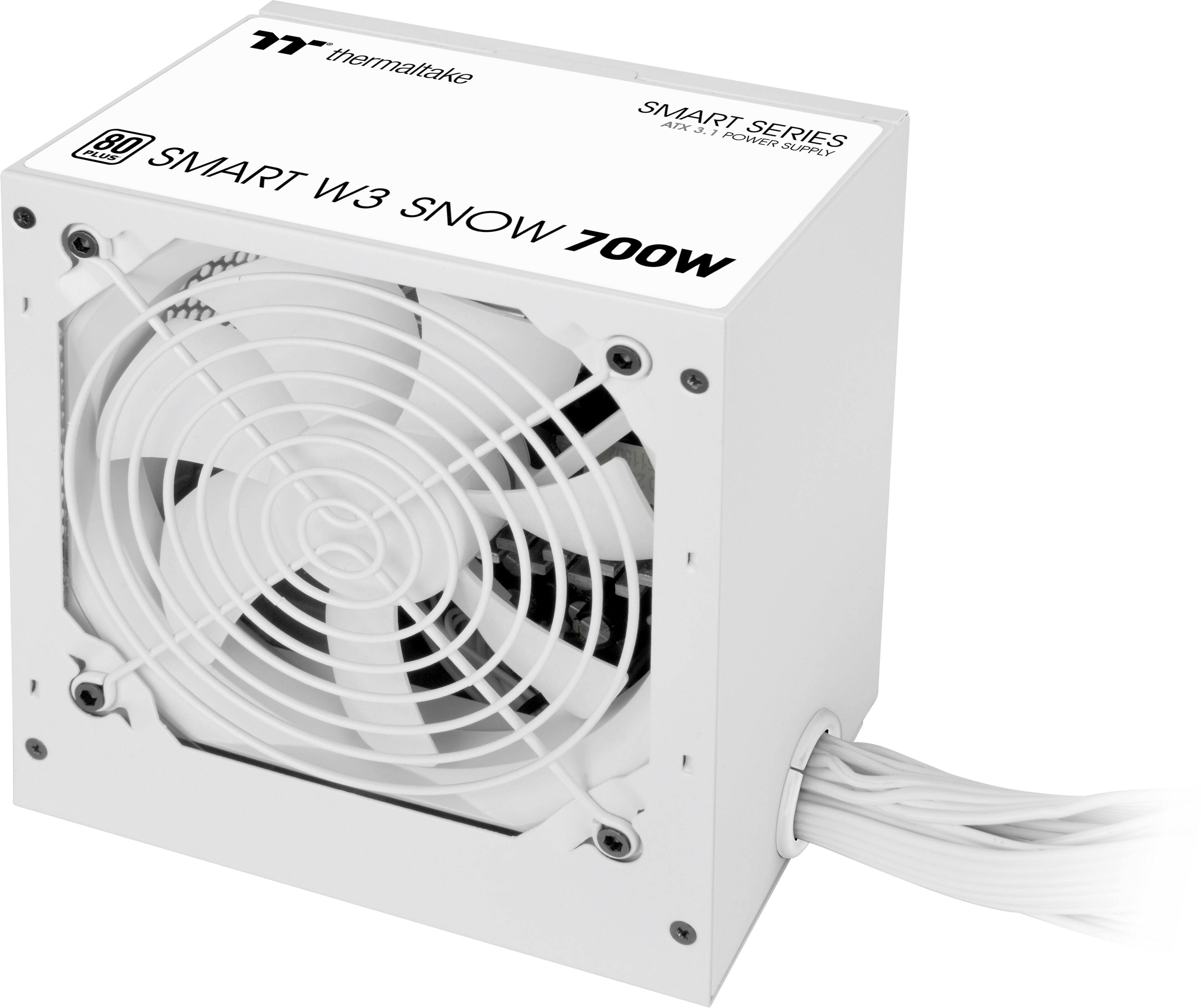 The text on the image reads "SMART W3 SNOW 700W."