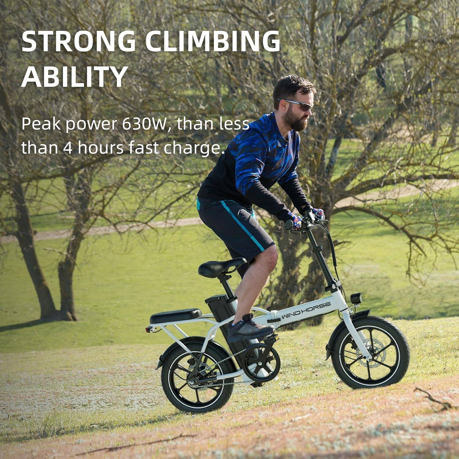 STRONG CLIMBING ABILITY

Peak power 630W, than less than 4 hours fast charge.