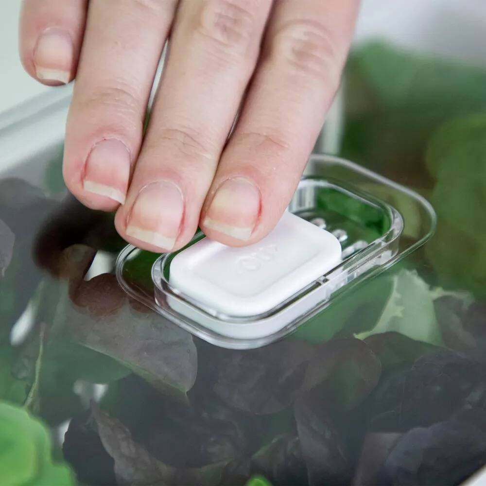 Alt View 6. OU - OU Fridge Organizer Bin with Drain Basket & Vented Lid, 5.3qt Clear Refrigerator Storage Bin - Clear.