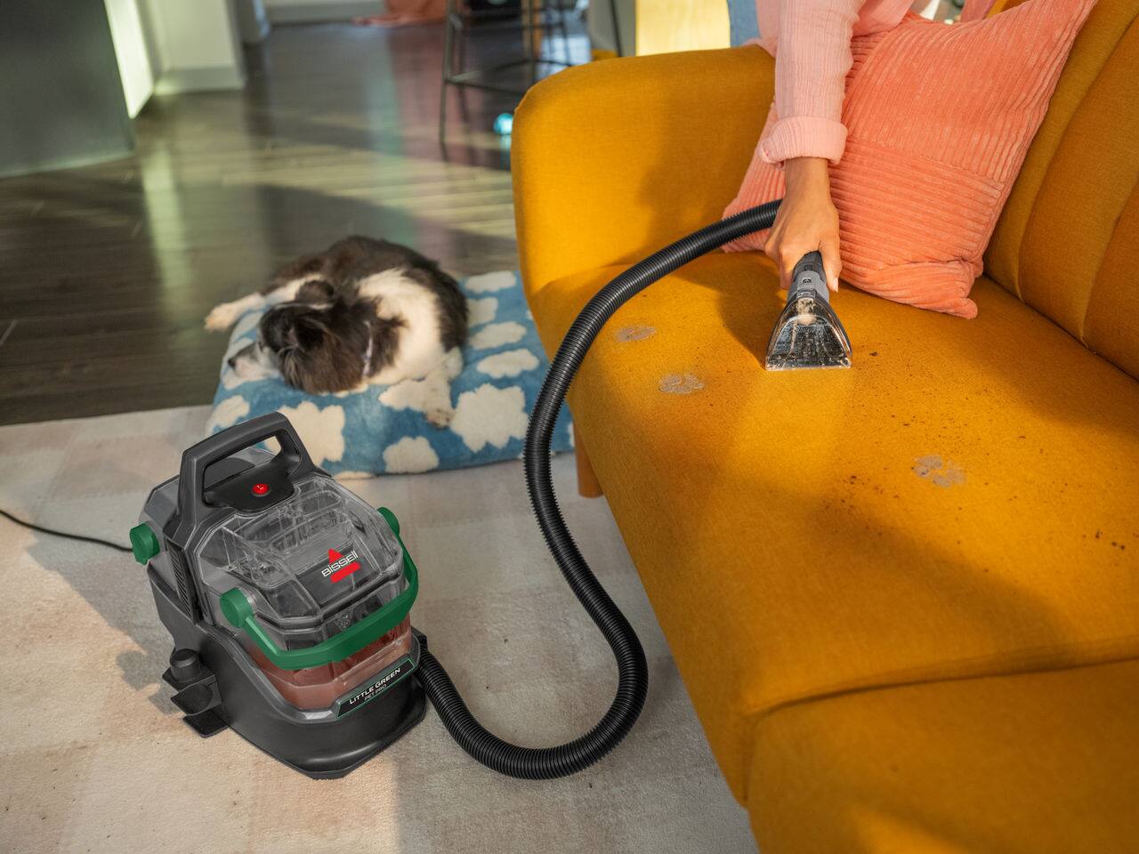 Bissell Little Green