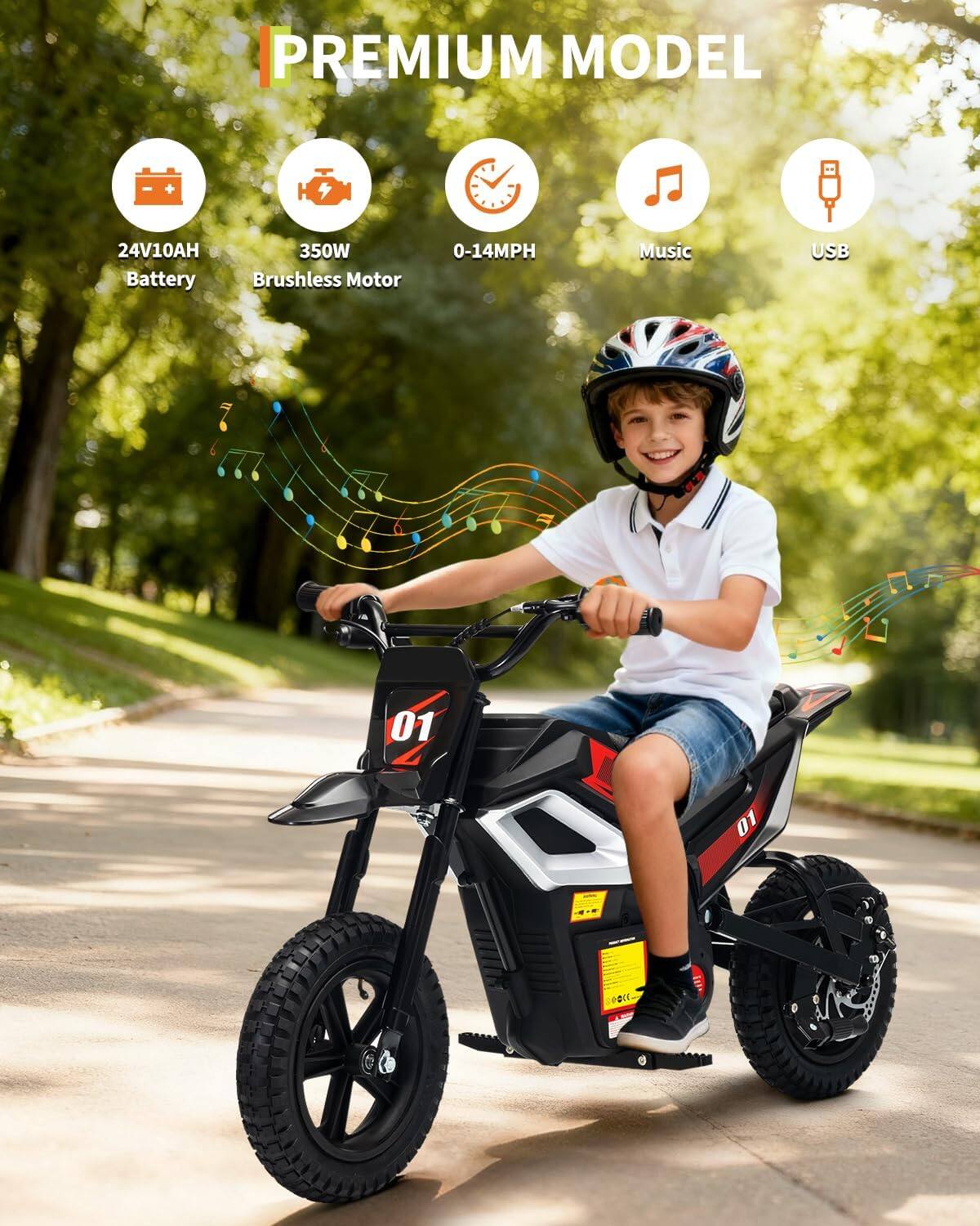 PREMIUM MODEL  
24V10AH Battery  
350W Brushless Motor  
0-14MPH  
Music  
USB