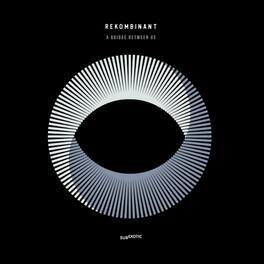 Rekombinant - A Bridge Between Us - VINYL LP