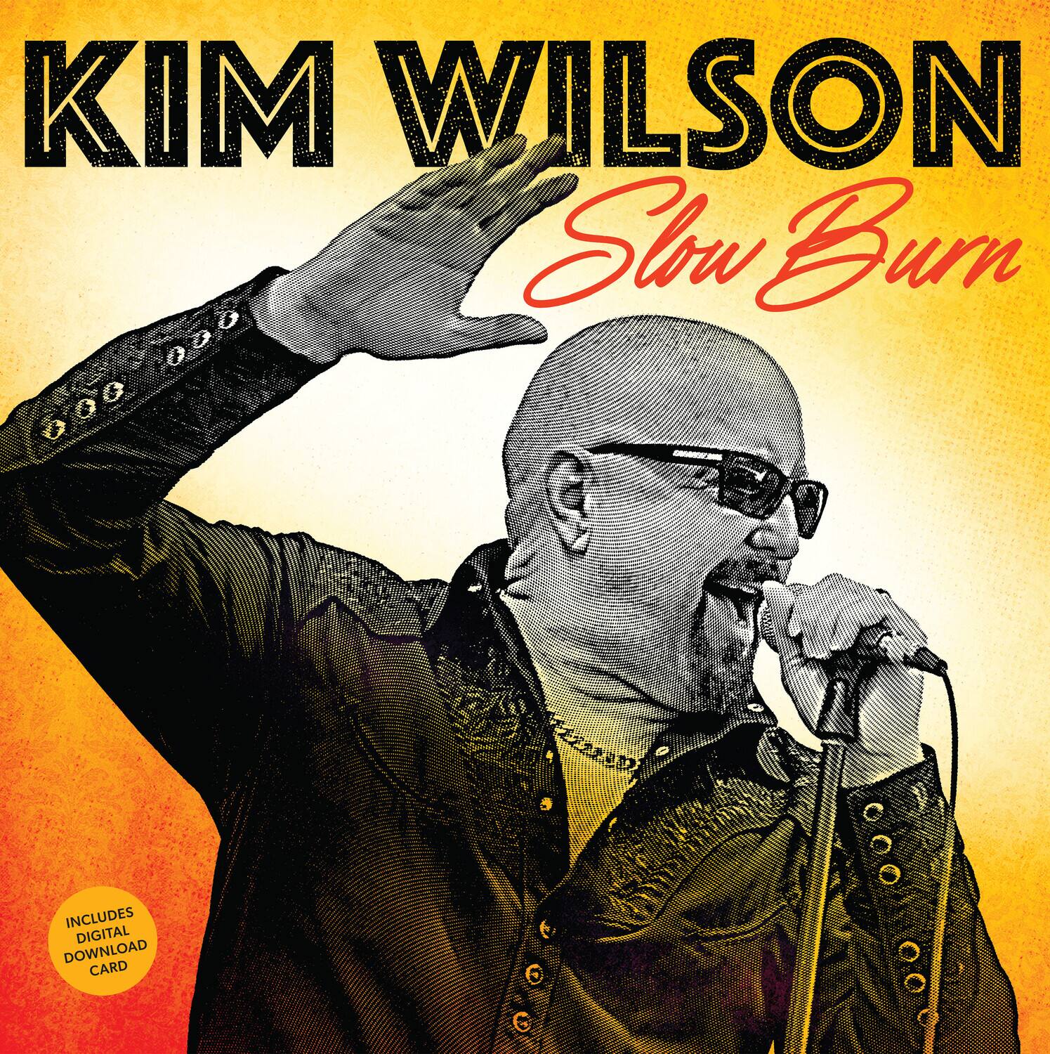 Kim Wilson - Slow Burn   - VINYL LP price history on PriceWatchPro