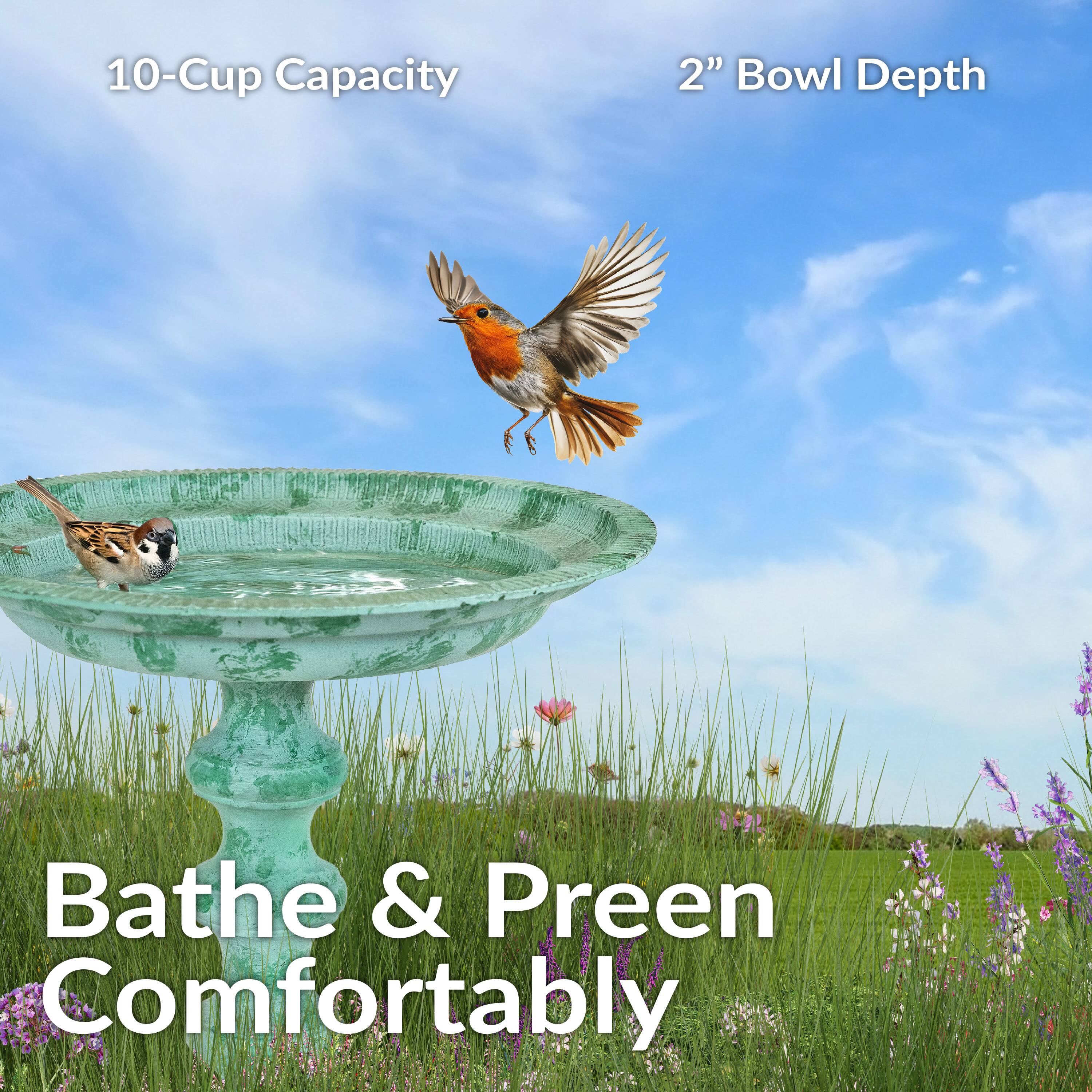 10-Cup Capacity  
2" Bowl Depth  

Bathe & Preen Comfortably