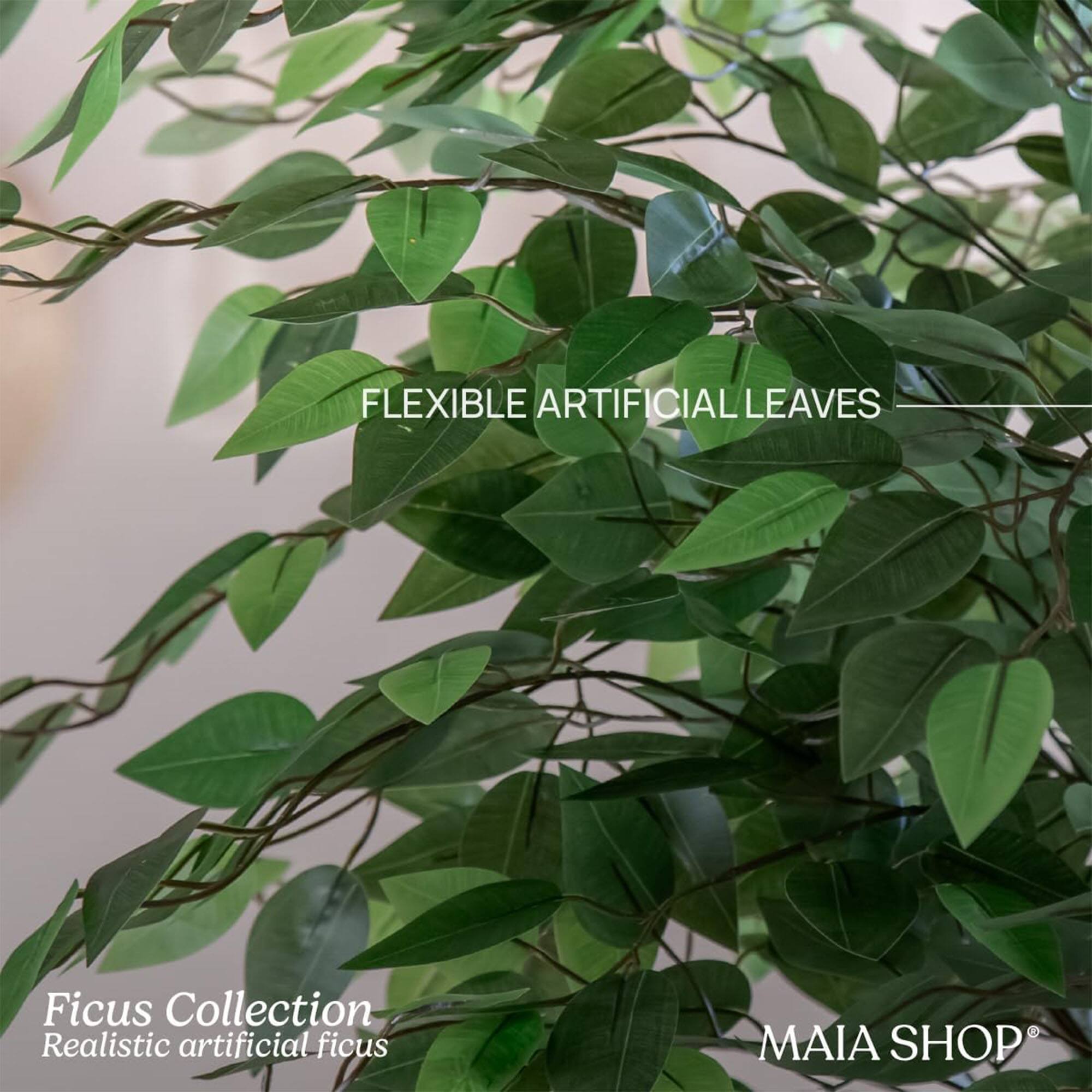 FLEXIBLE ARTIFICIAL LEAVES

Ficus Collection  
Realistic artificial ficus

MAIA SHOP®