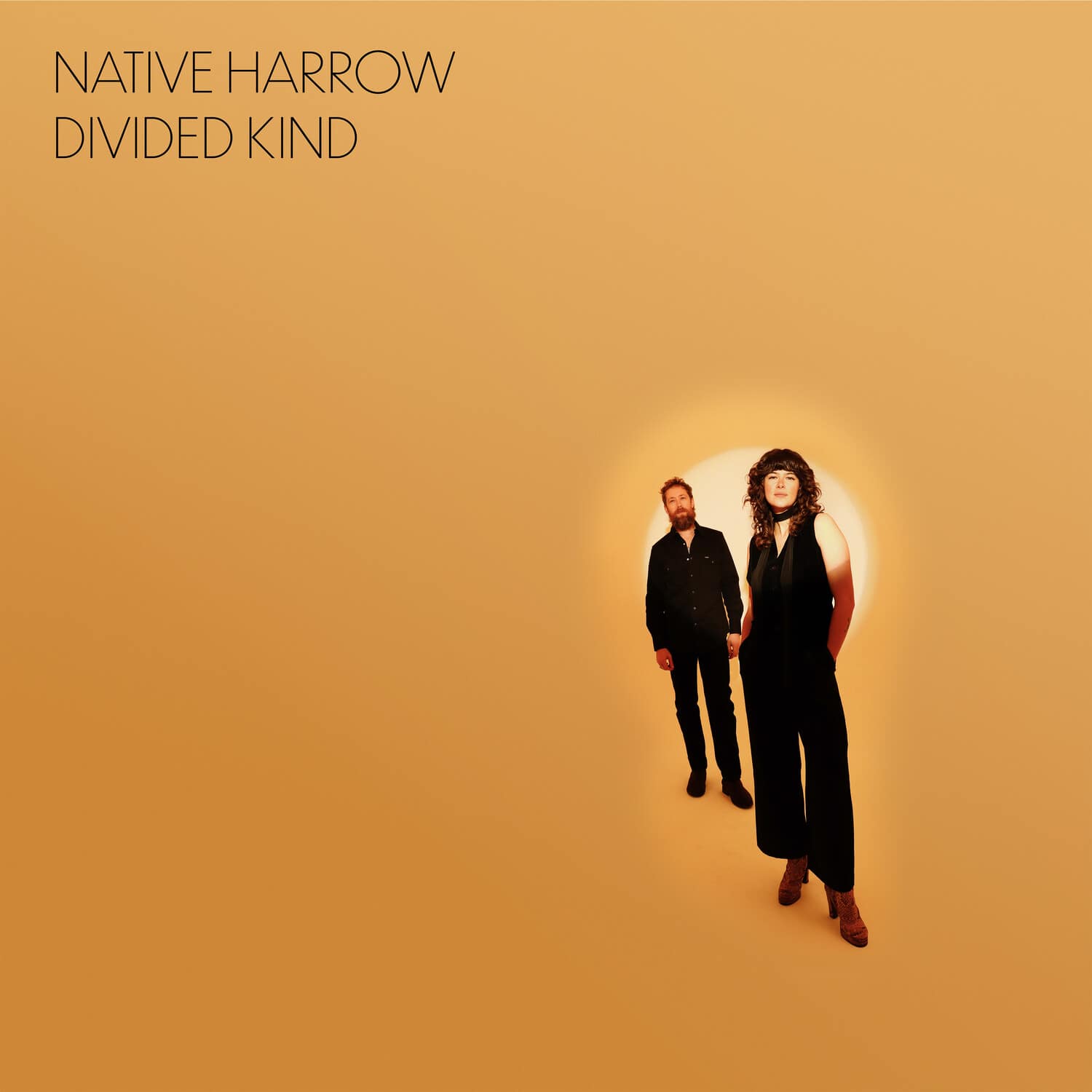 Native Harrow - Divided Kind   - COMPACT DISCS [CD] price history on PriceWatchPro