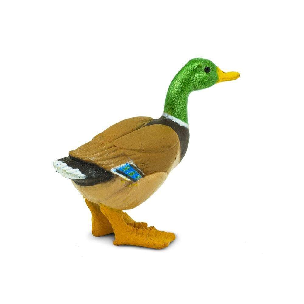 Angle. Safari Ltd. - Duck Toy Figurine.