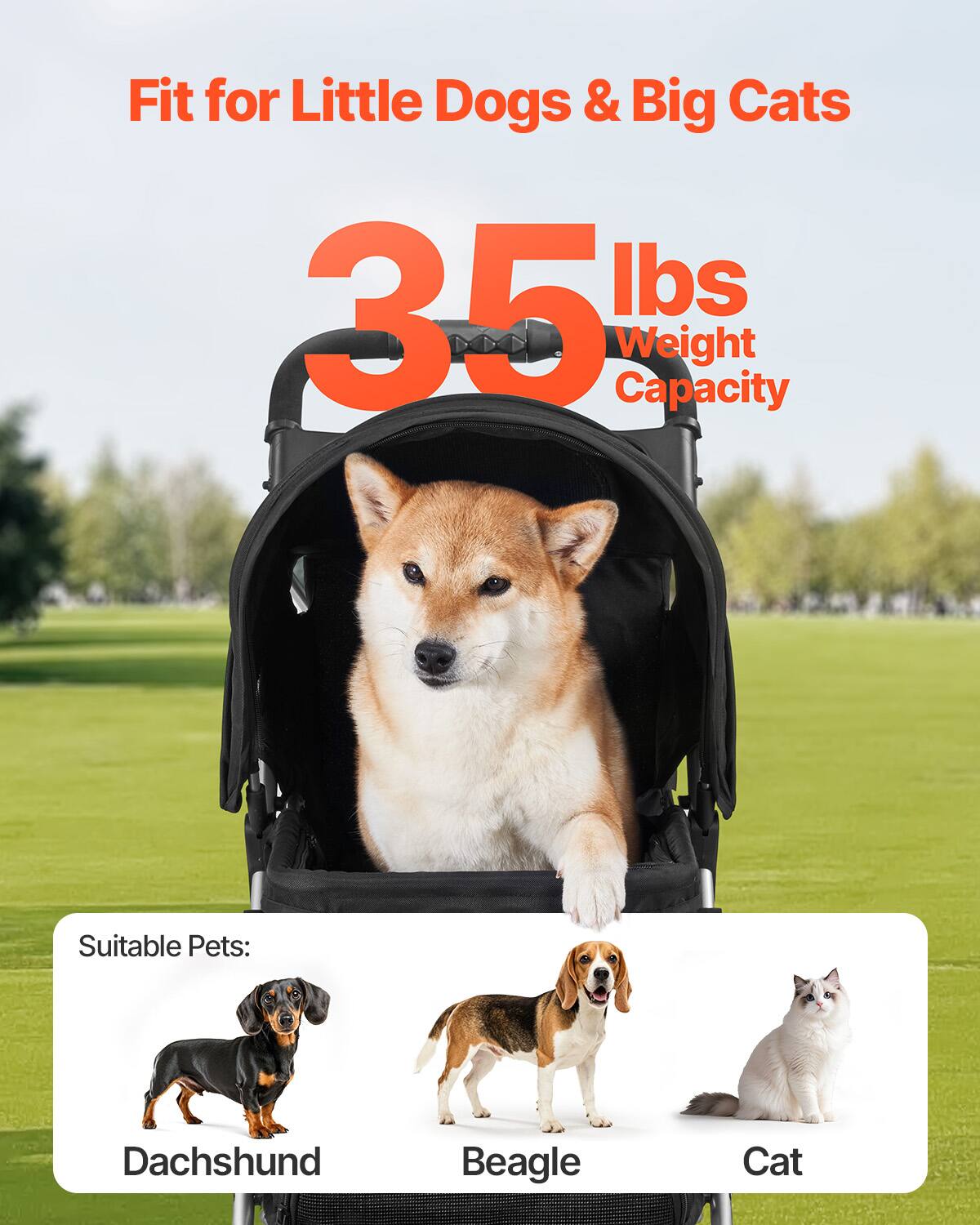 Fit for Little Dogs & Big Cats  
35 lbs Weight Capacity  

Suitable Pets:  
Dachshund  
Beagle  
Cat