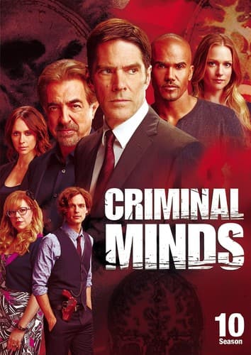 Criminal Minds: Season 10  - DVD