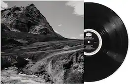 Andrew Bird - Outside Problems - VINYL LP