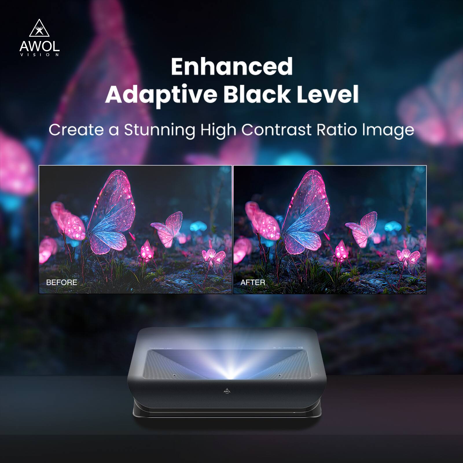 AWOL VISION 4 Enhanced Adaptive Black Level: Create a Stunning High Contrast Ratio Image - Before & After