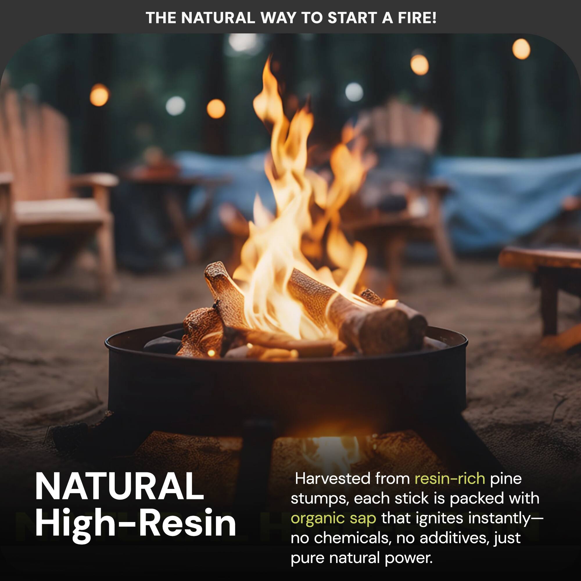 THE NATURAL WAY TO START A FIRE!

NATURAL High-Resin

Harvested from resin-rich pine stumps, each stick is packed with organic sap that ignites instantly—no chemicals, no additives, just pure natural power.