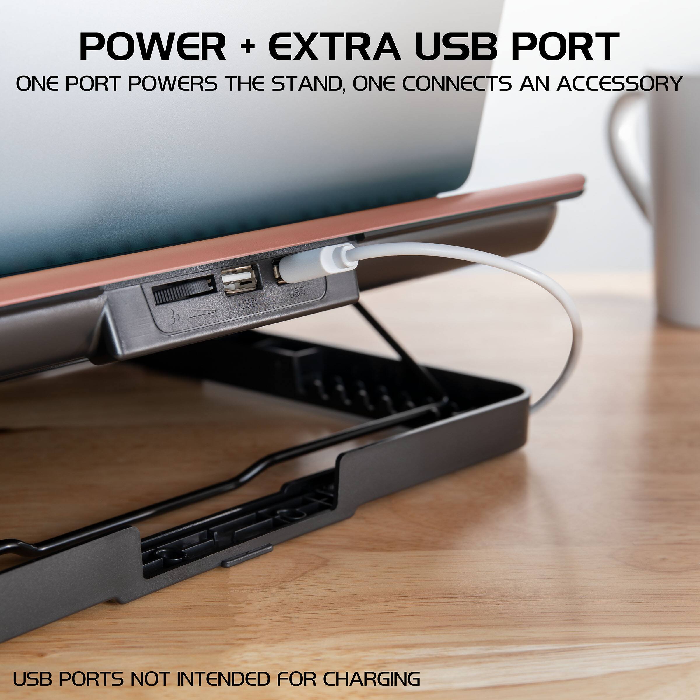 POWER + EXTRA USB PORT  
ONE PORT POWERS THE STAND, ONE CONNECTS AN ACCESSORY  

USB PORTS NOT INTENDED FOR CHARGING
