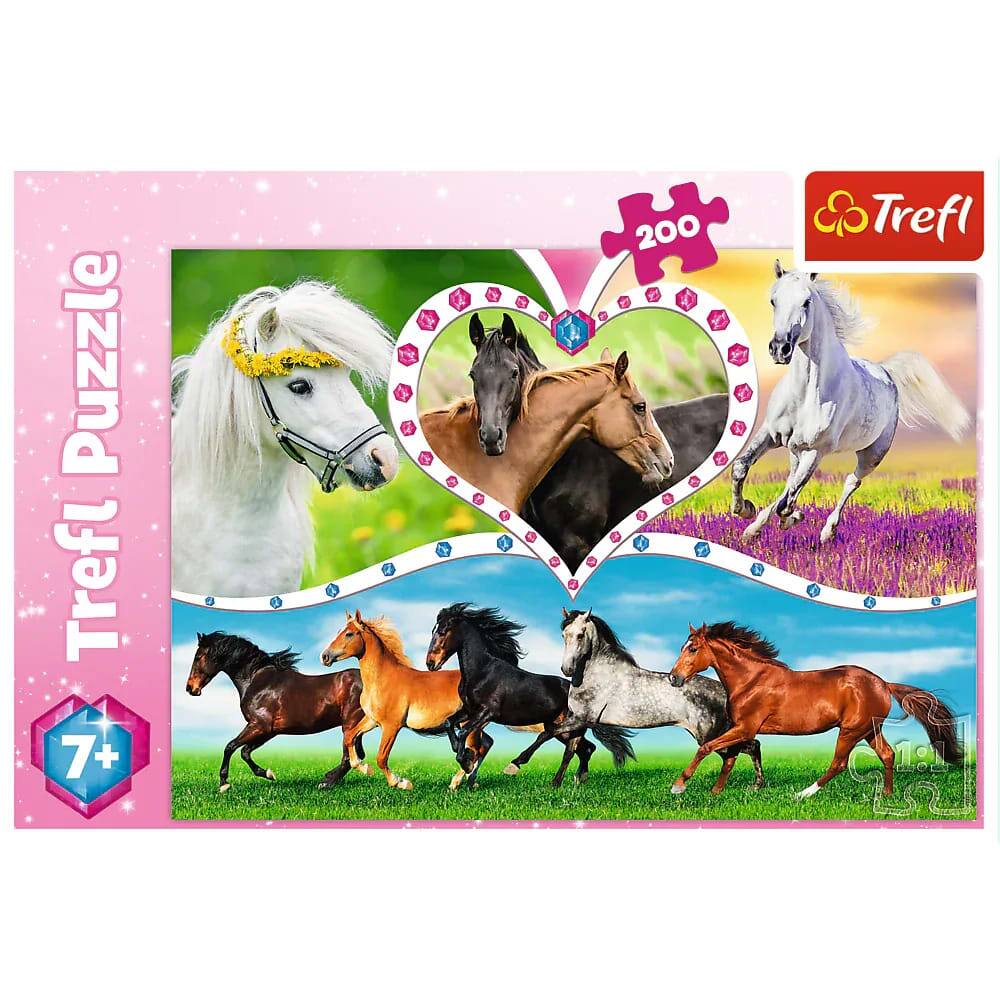Trefl Puzzle  
7+  
200  
Trefl