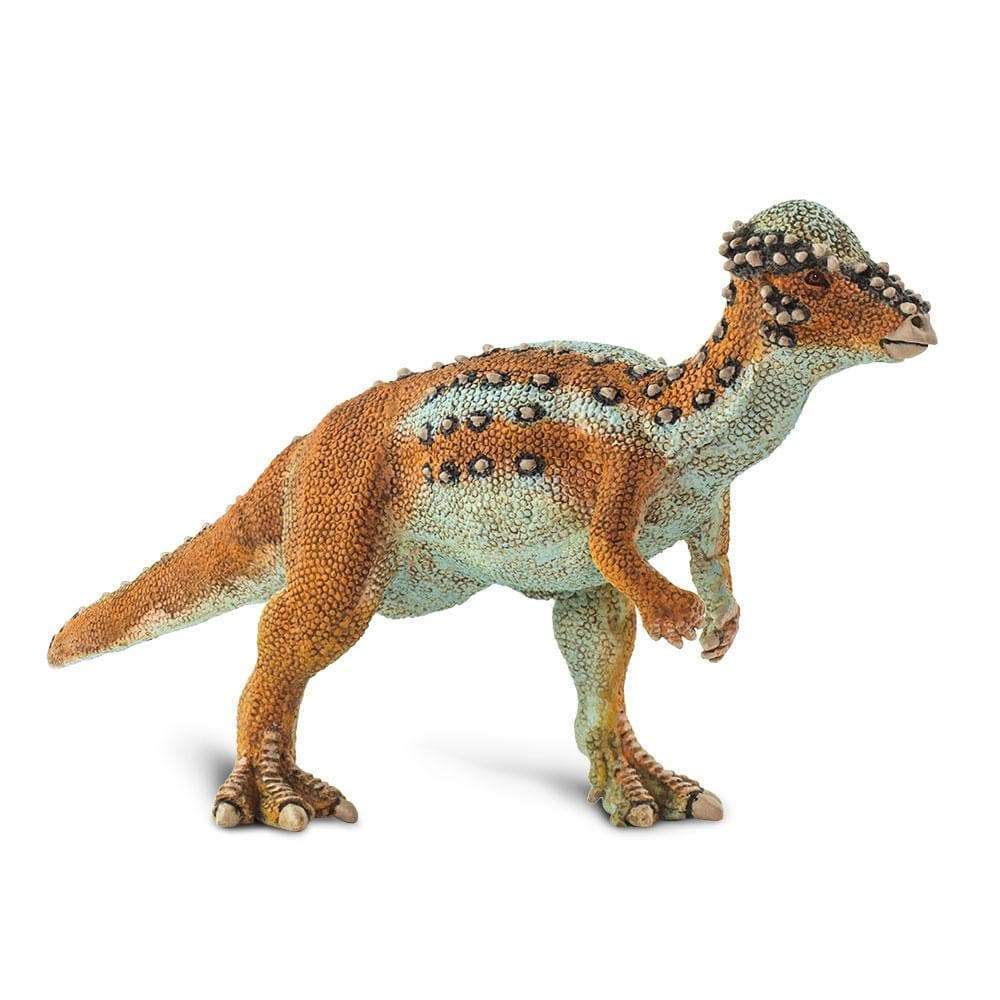Back. Safari Ltd. - Pachycephalosaurus.