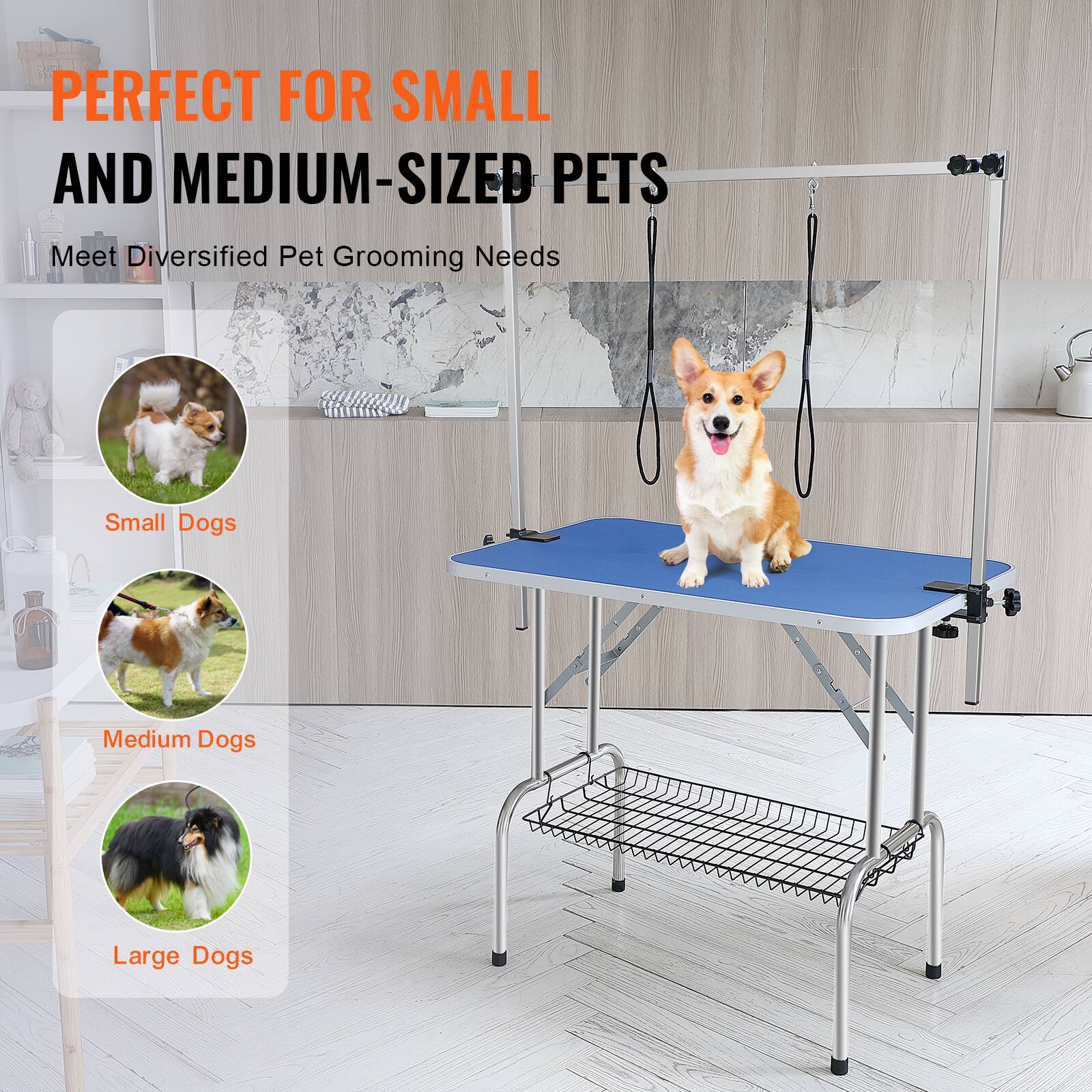 PERFECT FOR SMALL AND MEDIUM-SIZED PETS

Meet Diversified Pet Grooming Needs

Small Dogs

Medium Dogs

Large Dogs