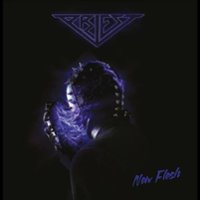 New Flesh [LP] - VINYL - Front_Zoom