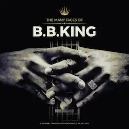 Many Faces Of B.B. King / Various - Grey Vinyl - The Many Faces Of B.B. King / Various - Grey Vinyl - VINYL LP