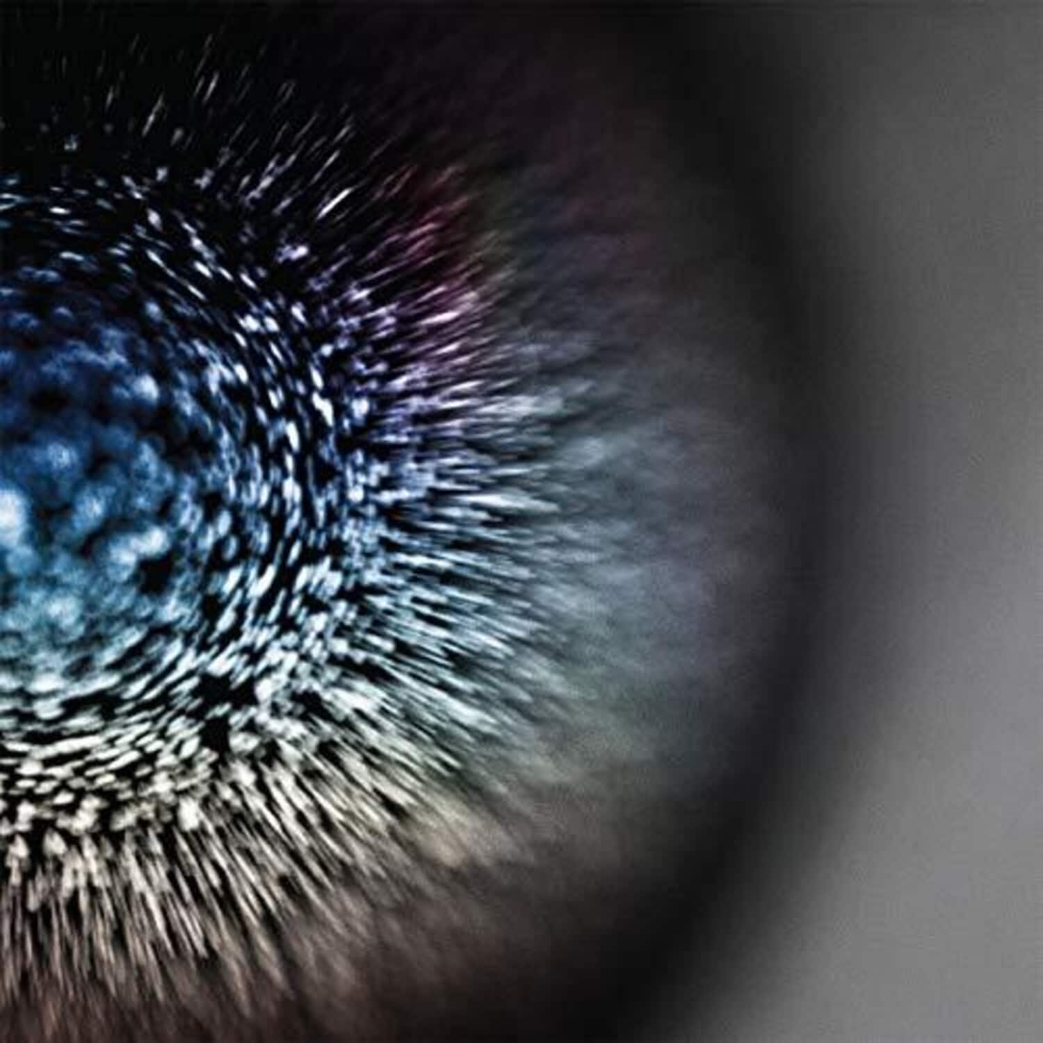 Emptyset - Blossoms   - VINYL LP price history on PriceWatchPro