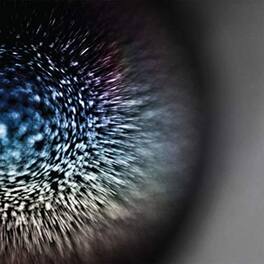 Emptyset - Blossoms - VINYL LP