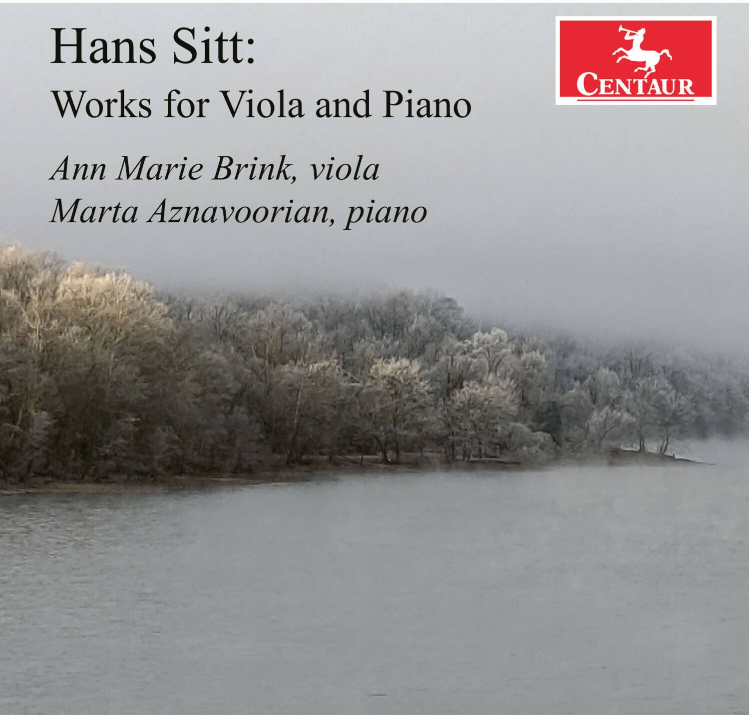 Ann Marie Brink - Works for Viola & Piano   - COMPACT DISCS [CD] price history on PriceWatchPro