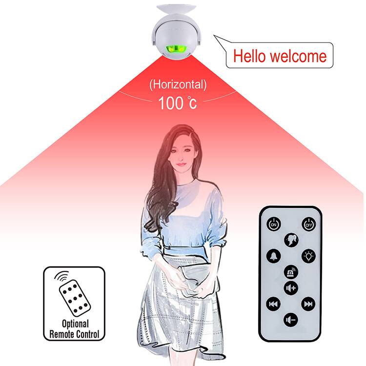 Hello welcome  
(Horizontal) 100 °C  
Optional Remote Control